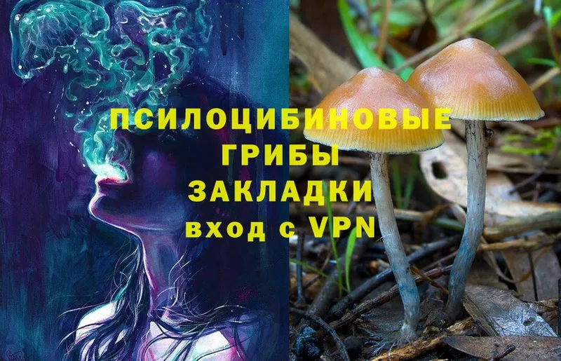 Псилоцибиновые грибы MAGIC MUSHROOMS  Ковров 