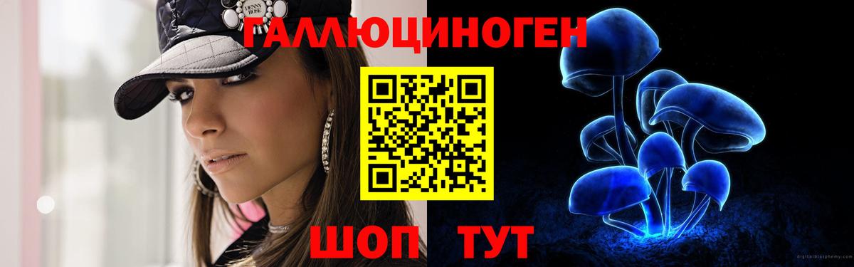 Псилоцибиновые грибы Magic Shrooms Ковров